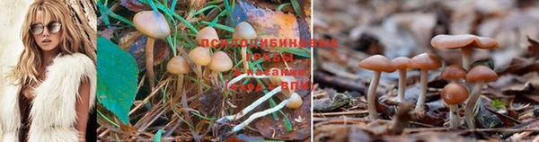 хмурый Беломорск
