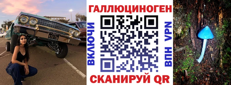 мориарти как зайти  Невель  Псилоцибиновые грибы прущие грибы 